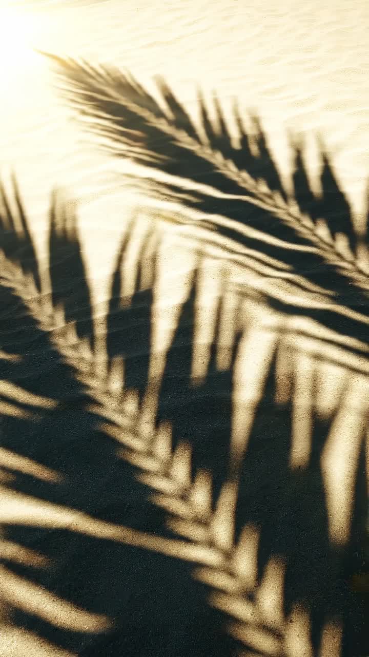 Top-down video style of palm shadows on sand, creating a serene, tropical vibe