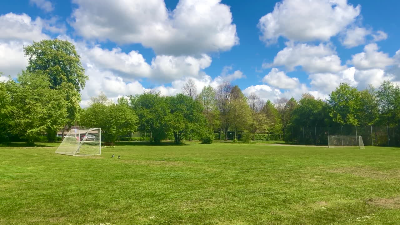 녹색 공원 필드에서 축구 목표