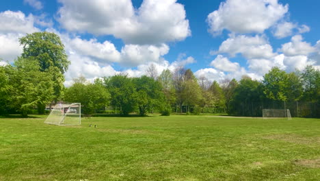 Fußballtor-Im-Grünen-Parkfeld