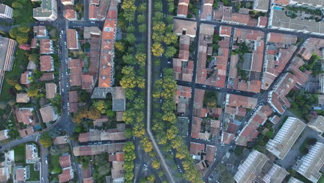 line of trees in montpellier neighbourhood les arceaux aqueduct sunset aerial