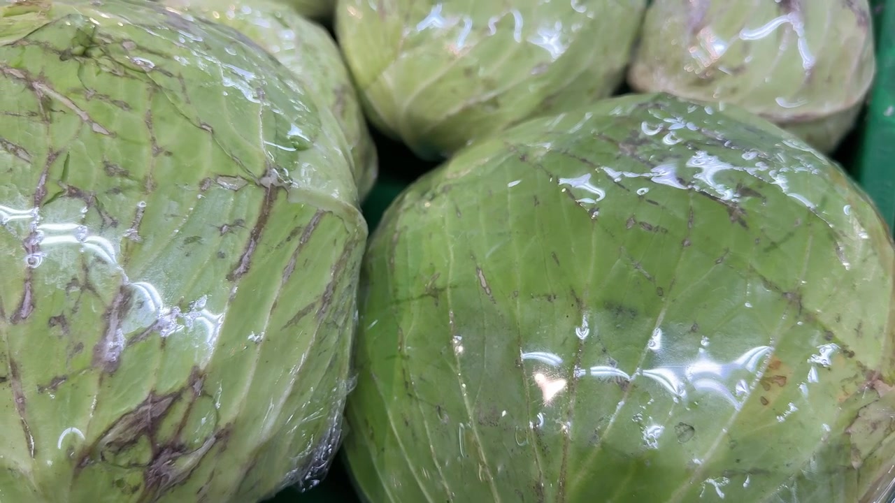 Fresh Green Cabbage Heads Wrapped in Plastic in Grocery Store