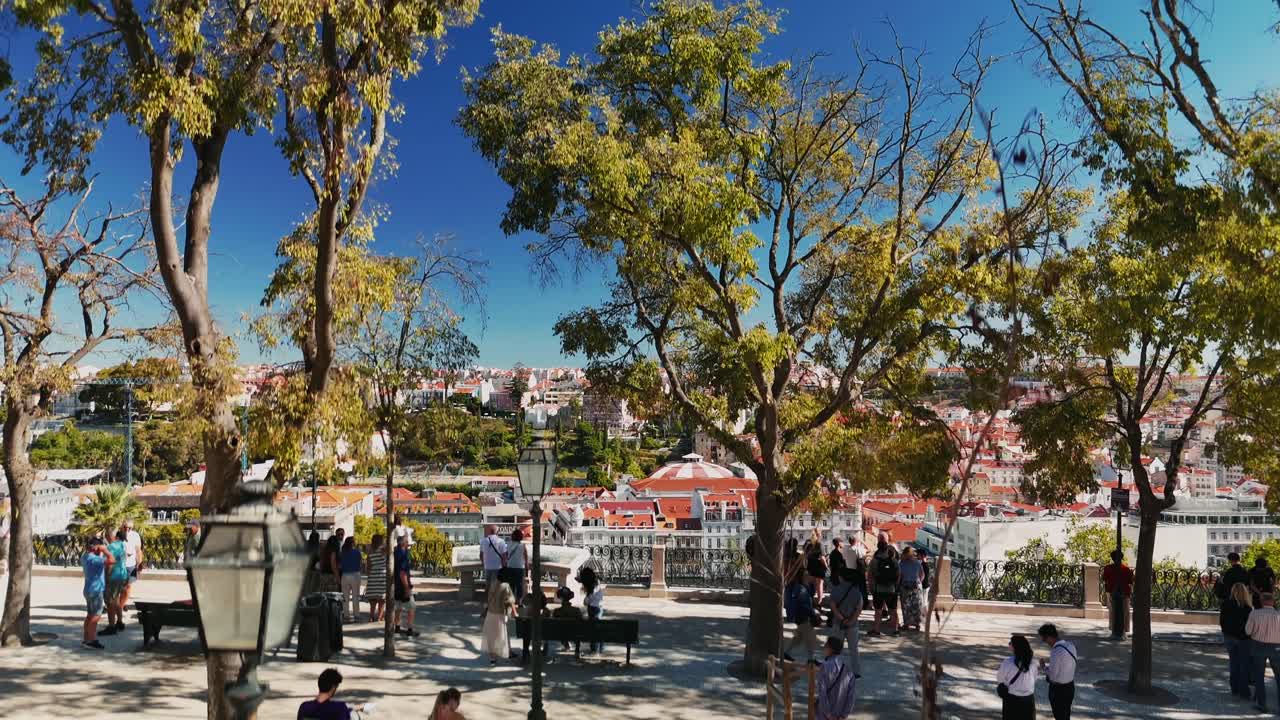 Cityscape view from a park