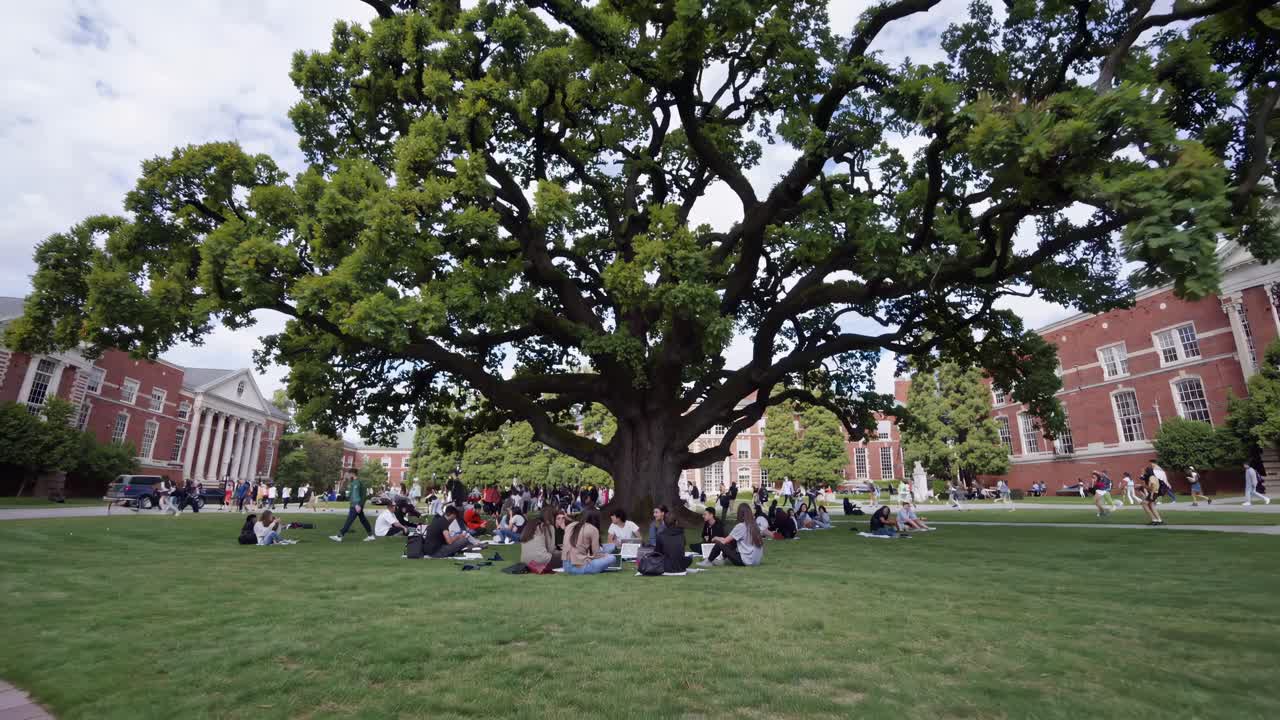 Wide-angle video captures students under a large tree on campus, engaged in study and conversation