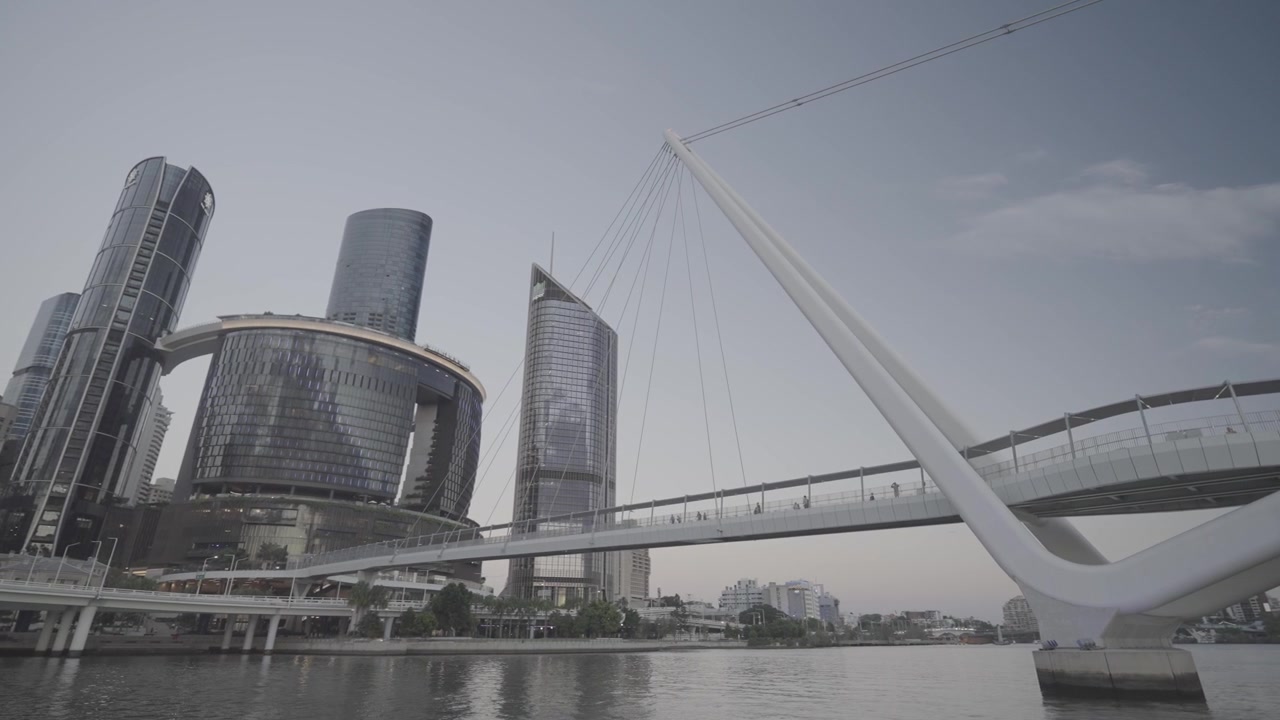 A wide view across the Brisbane River shows the Neville Bonner Bridge with the Wheel of Brisbane in the background.