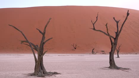 amazing dead trees silhouetted at dawn at deadvlei and sossusvlei in namib naukluft national park namib desert namibia hikers distant