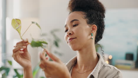 mujer inspeccionando una planta de interior