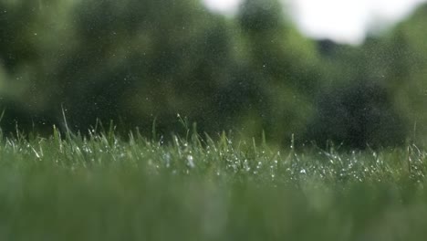 el palo de golf golpea una pelota de golf en una cámara súper lenta. gotas de rocío matutino y partículas de hierba se levantan en el aire después del impacto.