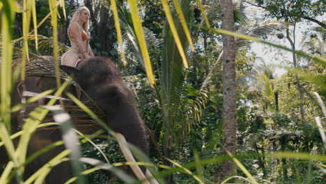 travel woman riding elephant in jungle with arms raised enjoying freedom exploring exotic tropical forest having fun adventure with animal companion 4k