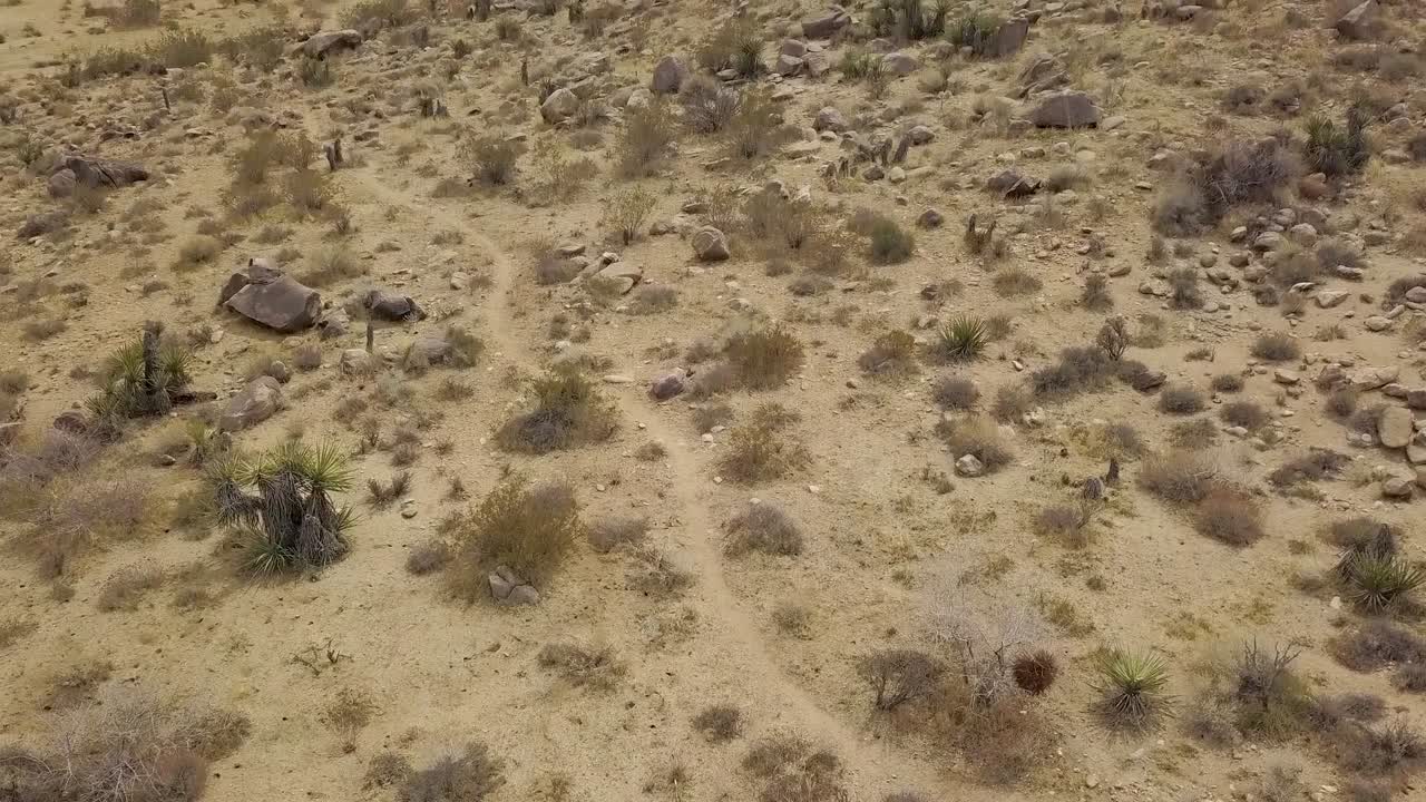 съемка с воздуха пустынного пейзажа с горами на заднем плане в солнечный день с голубым небом в национальном парке джошуа три