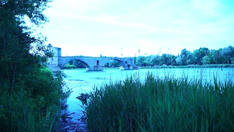 avignon bridge stands in the water filmed from the shore with reeds in the foreground