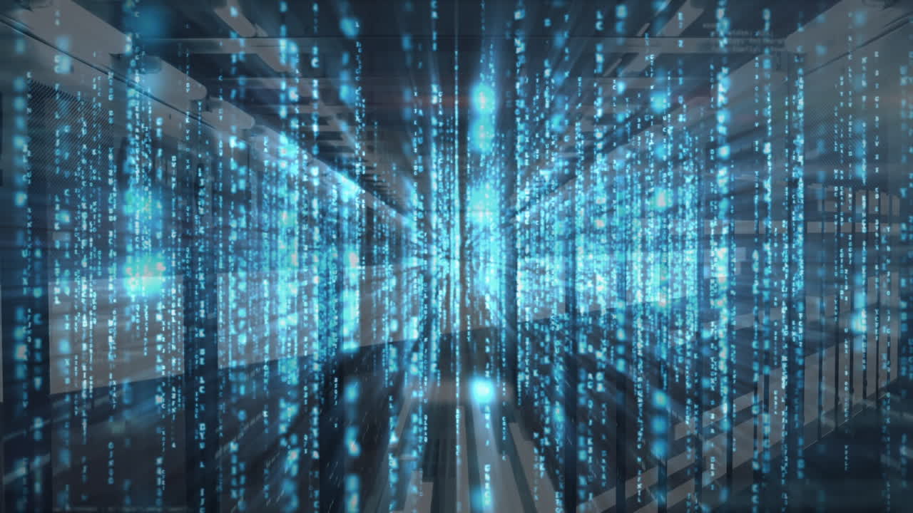 Animation of data processing over computer servers