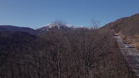 flying-above-a-bare-tree-to-reveal-mountain-covered-with-snow