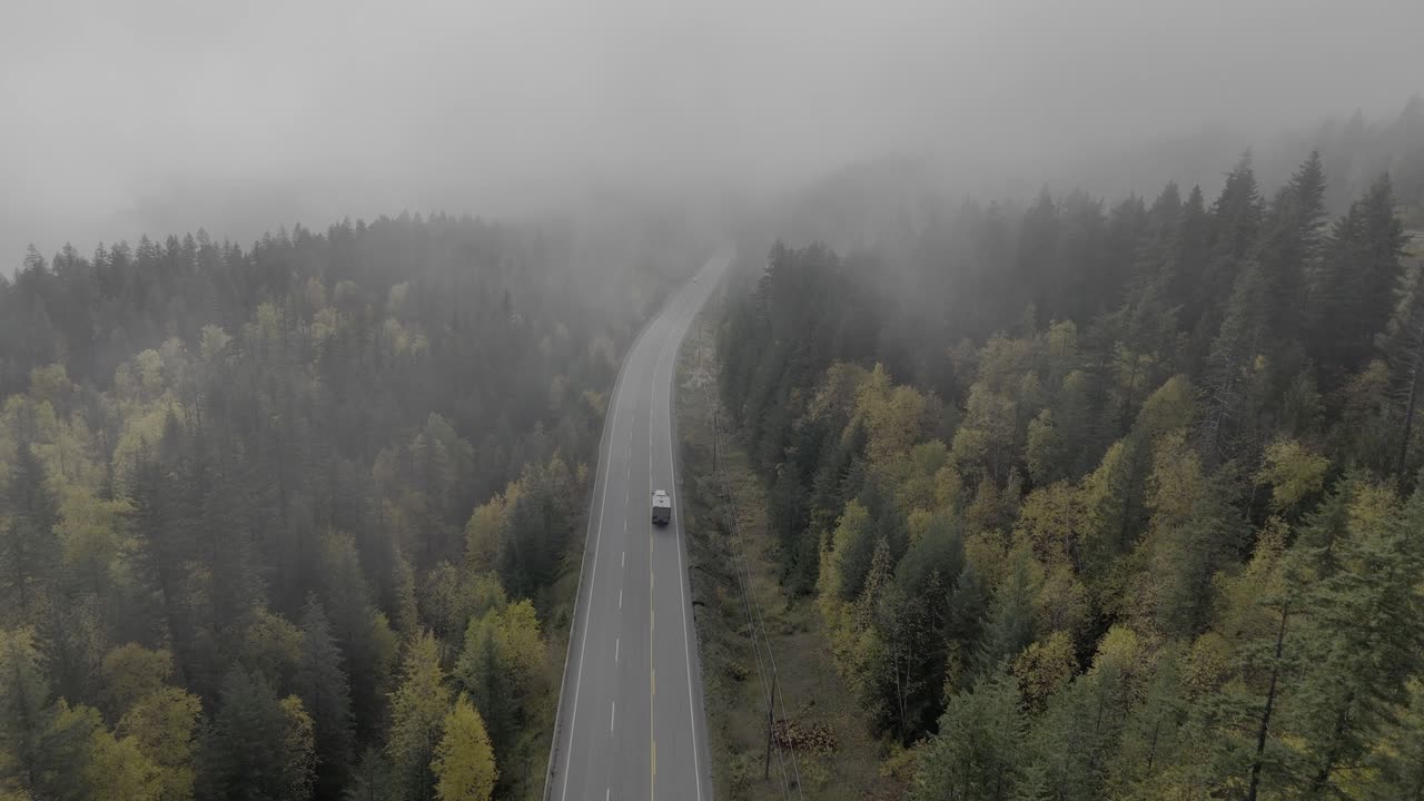 고속도로 24의 가을 안개와 노란 잎자루의 공중 사진