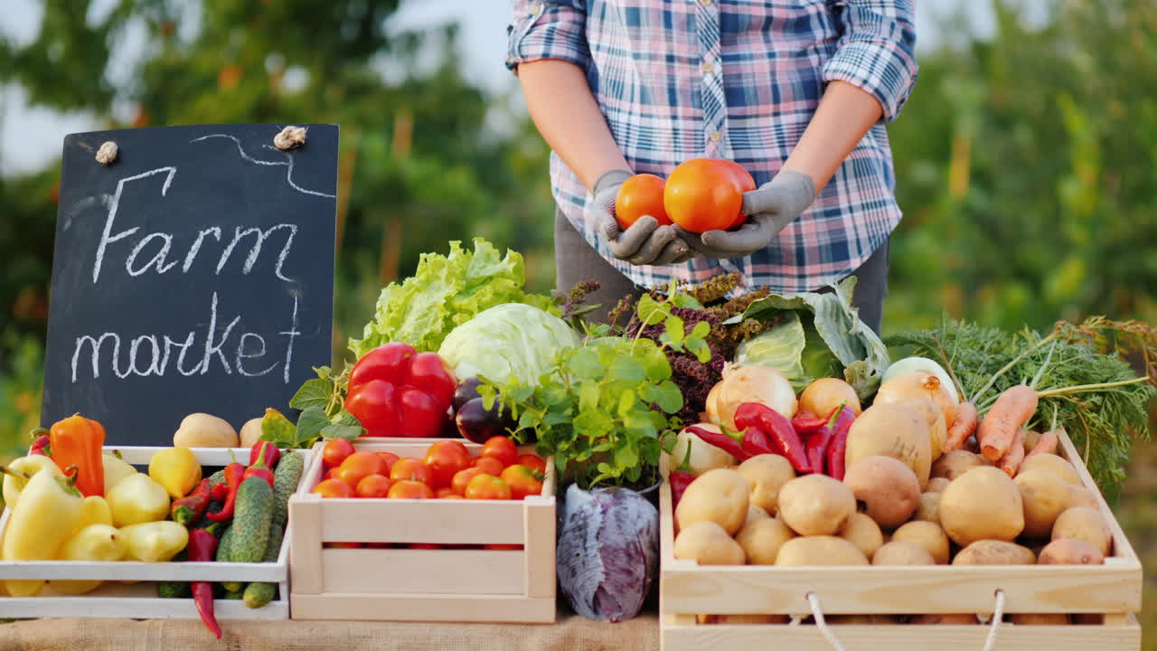 판매자는 손에 토마토 몇 개를 들고 채소 시장 카운터에 서 있다