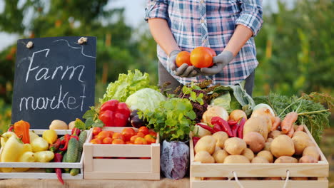 el vendedor tiene varios tomates en sus manos en el mostrador del mercado de verduras