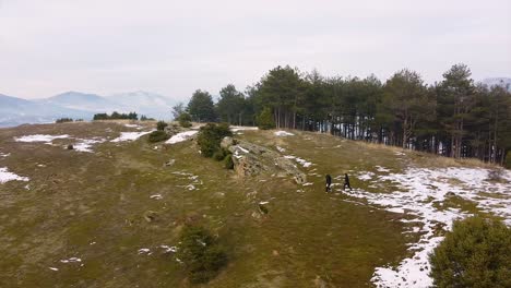 Runners-running-in-nature-drone-shot