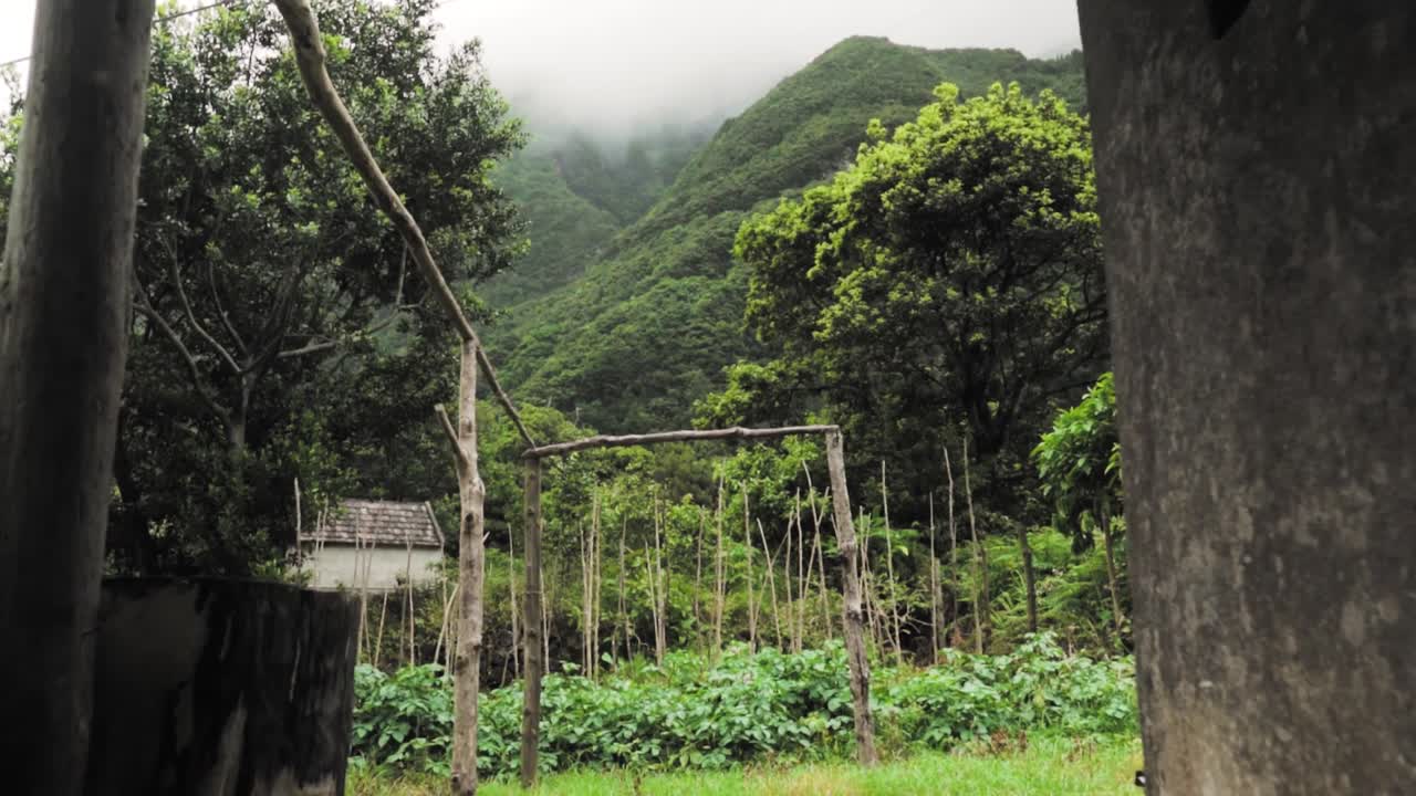 Tropical Garden with Mountain View