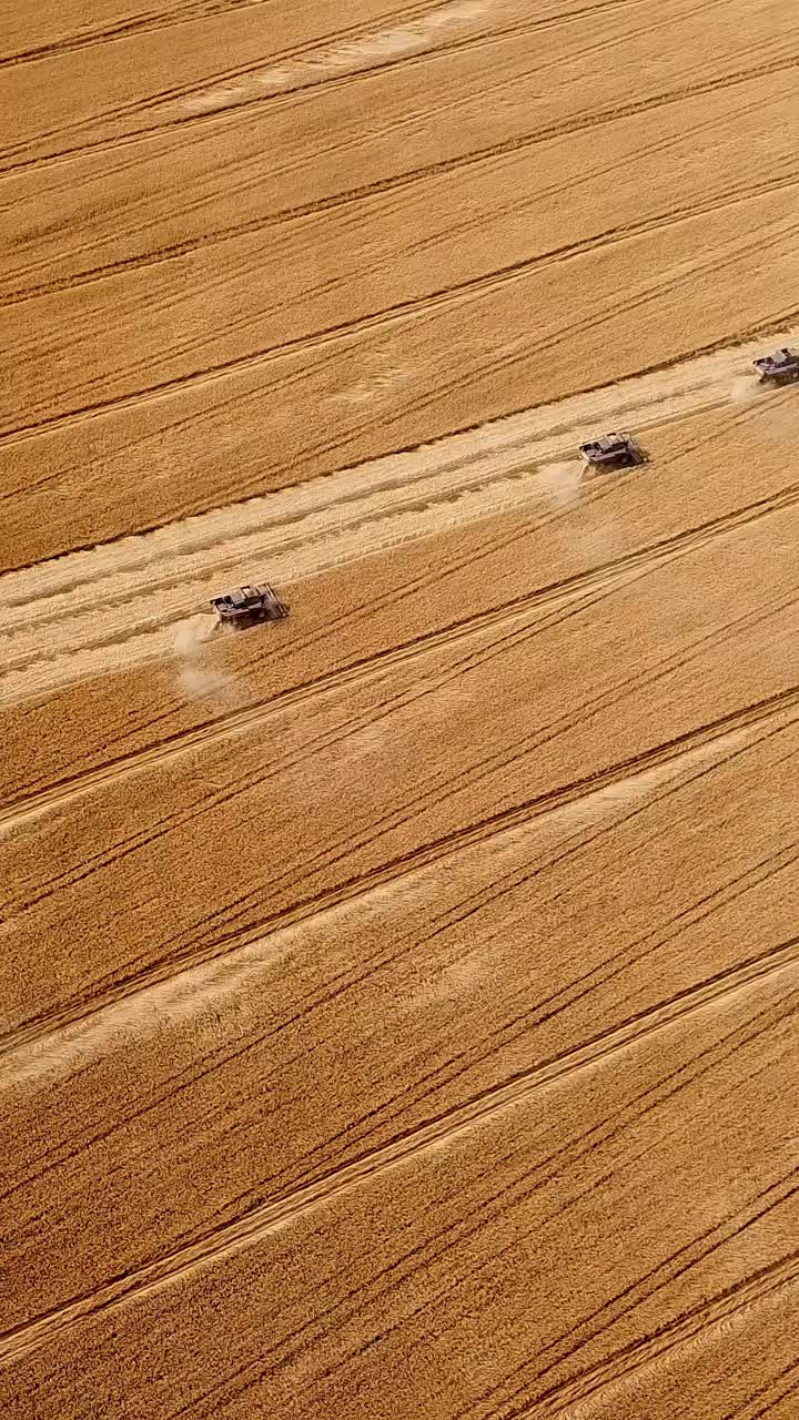 Aerial view of agricultural machinery harvesting golden wheat fields during sunny day