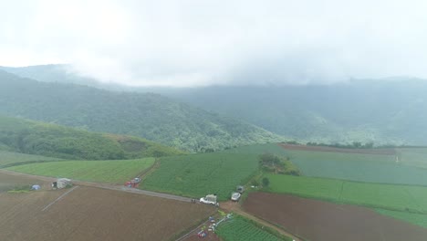 Imágenes-Escénicas-De-Drones-De-Una-Plantación-De-Repollo-Con-Clima-Brumoso-En-El-Fondo