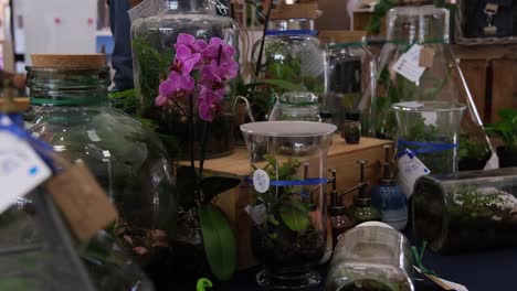 terrario casero exhibido en un puesto en una feria de mercado durante un cálido día de verano