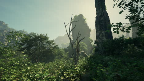 rayos de sol iluminando el paisaje del bosque verde exuberante con altas formaciones rocosas