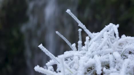 Cerrar-La-Vegetación-Congelada-Con-Cascada-Como-Fondo,-Temporada-De-Invierno