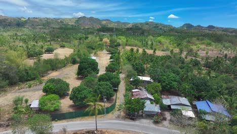 green landscape and mountains of philippines and green trees during sunny day