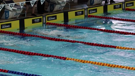 nadadores compiten en una carrera de piscina