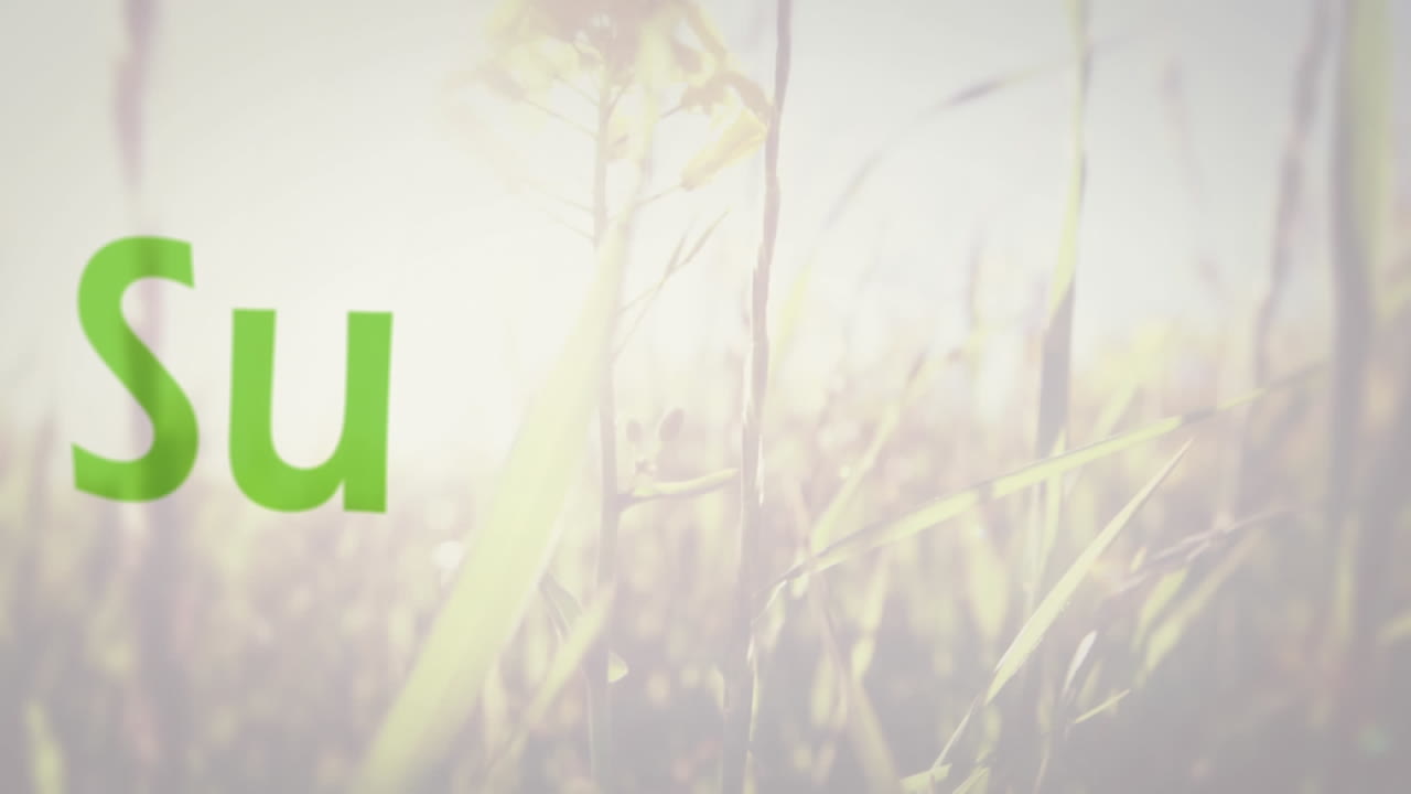 꽃을 배경으로 한 sustainabl 단어의 애니메이션