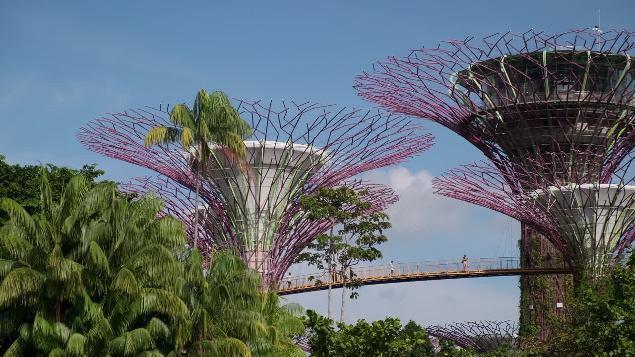 Supertrees at Gardens by the Bay, Singapore