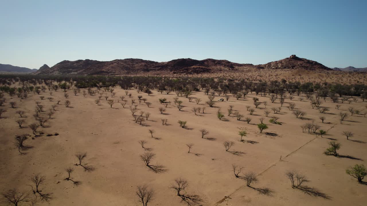 viajando a través del singular paisaje desértico de namibia, condiciones secas