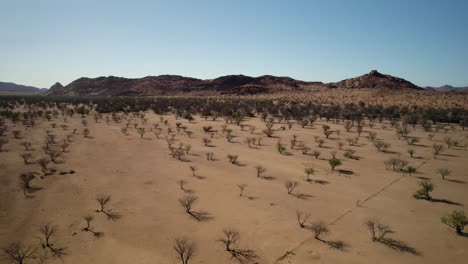 traveling through unique namibian desert landscape, dry conditions