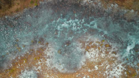 aerial: air bubbles trapped in ice of swamp surface
