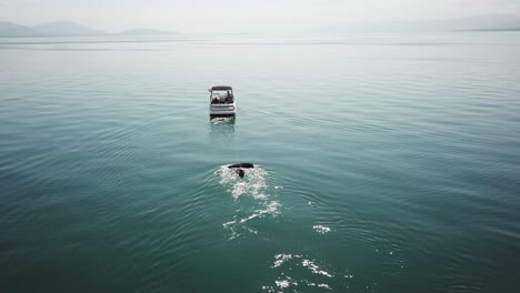 a wakeboarder is ready to start in the water, waiting for the boat to accelerate, aerial drone view, switzerland