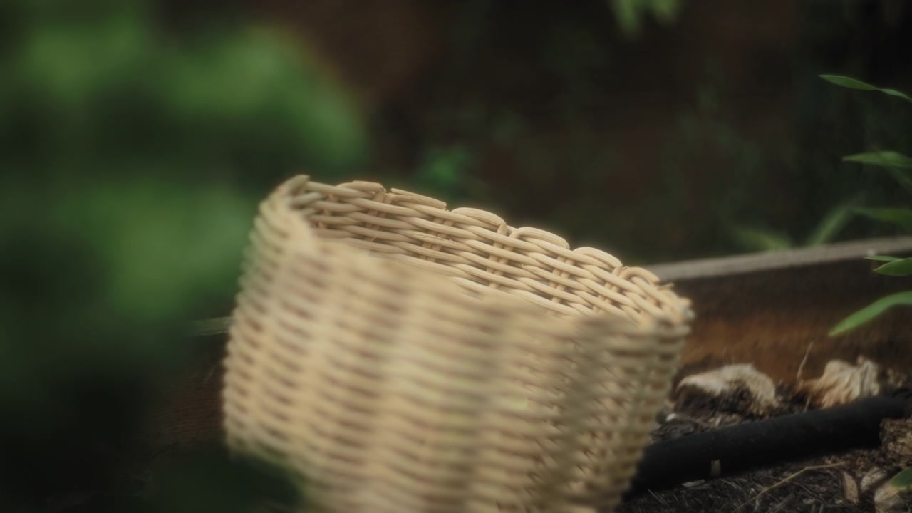 Il giardiniere ripone le verdure nel cesto