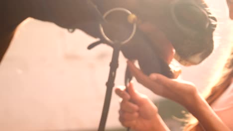 woman stroking horse in stable 4k