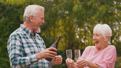 retired senior couple celebrating good news or win opening champagne in garden