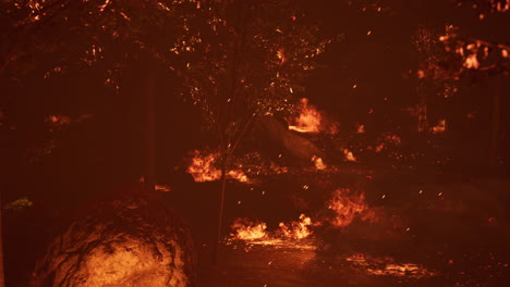 large flames of forest fire at night