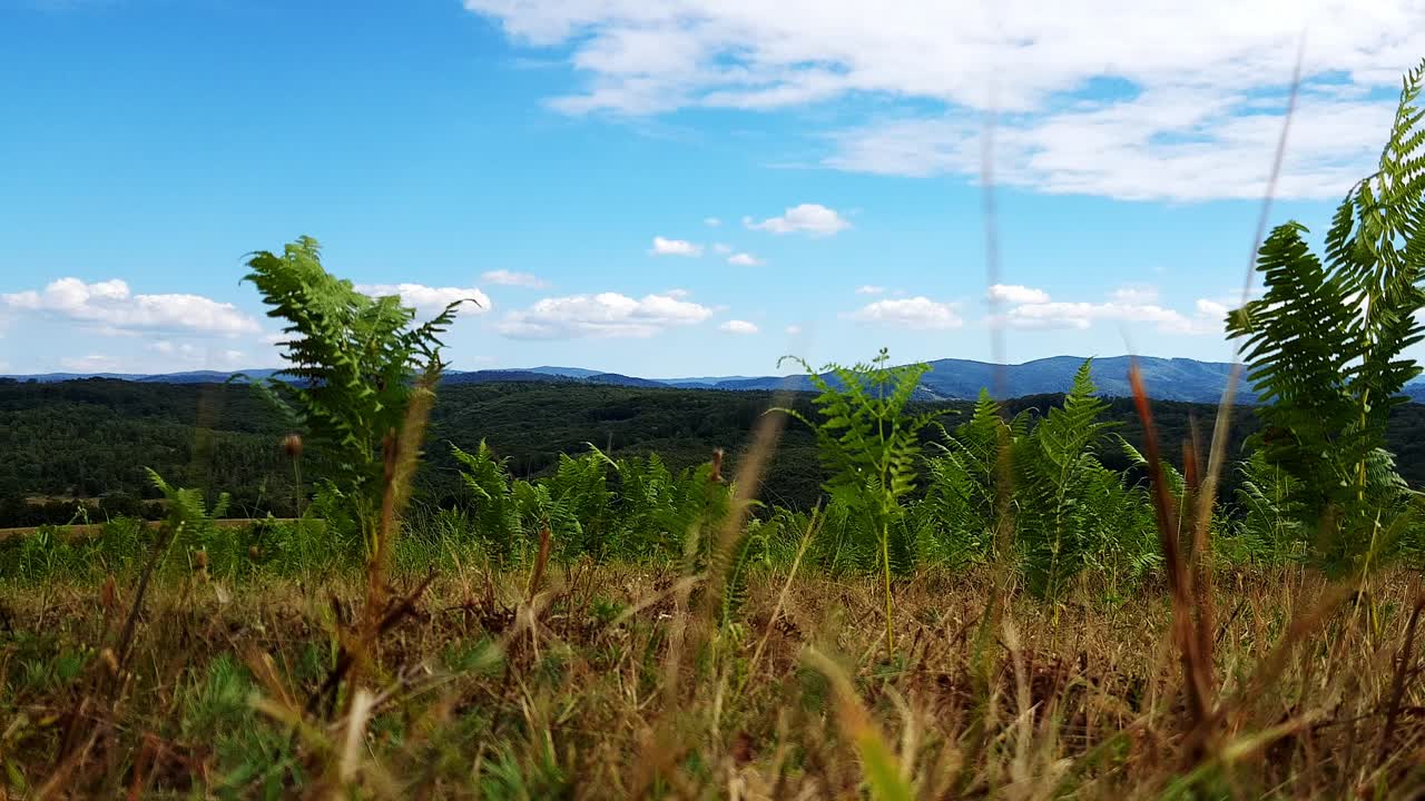 vista sobre los cárpatos del sur desde la cima de la colina, aún filmada en ángulo bajo