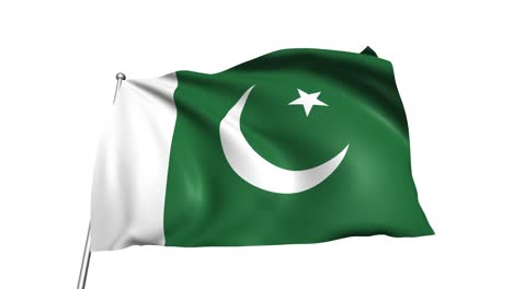 bandera de pakistán con estructura de tela en el viento (canal alfa, en bucle)
