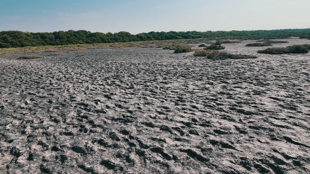 Walking into peaceful escape into nature at Al Zorah Mangrove in Ajman, UAE
