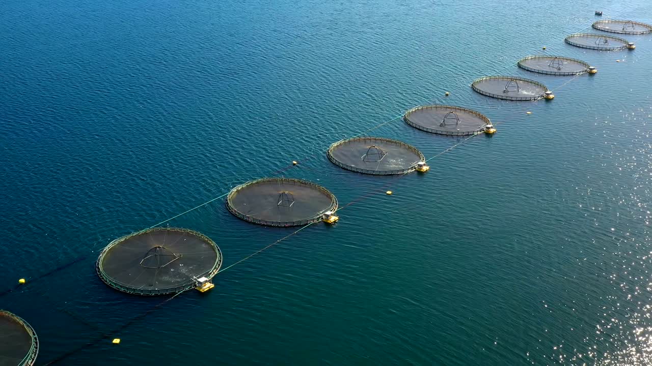 노르웨이의 연어 농장  ⁇ 시