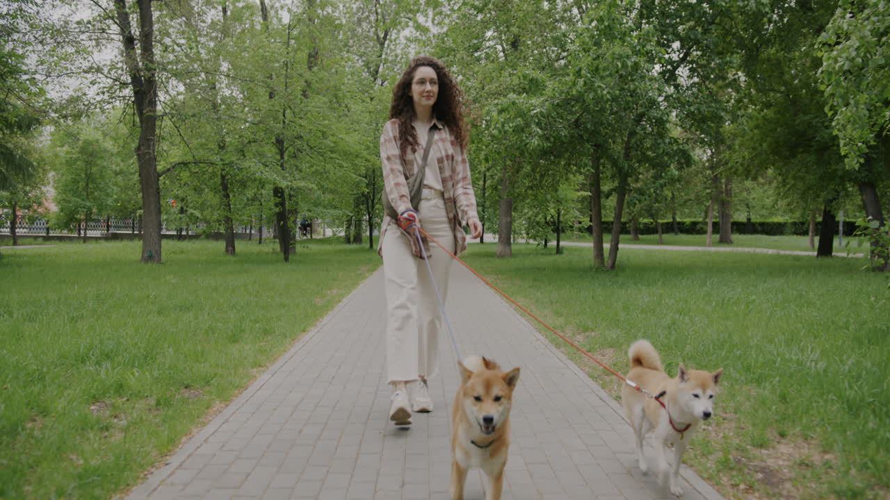 Woman Walking Two Dogs in a Park