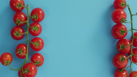 video de tomates cerezos frescos con espacio de copia en fondo azul