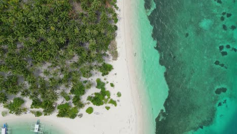 Von-Oben-Nach-Unten-Perspektive-Der-Küste-Von-Balabac-Palawan-Mit-Banca-Auslegerbooten-Und-Bäumen