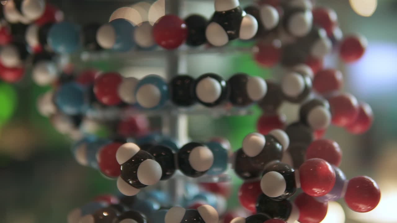 dna 사슬 구조 모델