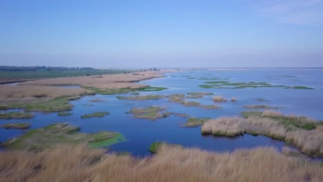 Luftaufnahme-Des-Mit-Braunem-Schilf-Und-Blauem-Wasser-Bewachsenen-Sees,-Liepaja-See,-Lettland,-Sonniger-Tag,-Ruhiges-Wetter,-Weitwinkel-Drohnenaufnahme-In-Bewegung