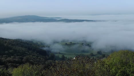 drone flying over forest with fog-shrouded valley in background on sunny day