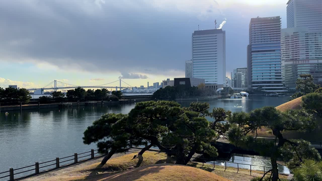 A peaceful view of Hama Rikyu Gardens with a tranquil pond and city skyline reflections