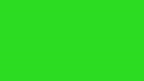 close up studio profile shot of female teacher or businesswoman walking past green screen 1